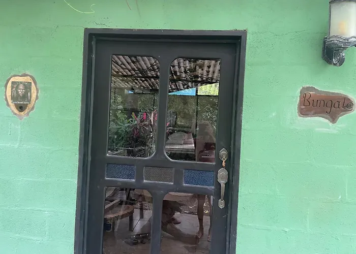 Spirit Of Jungle Lodge