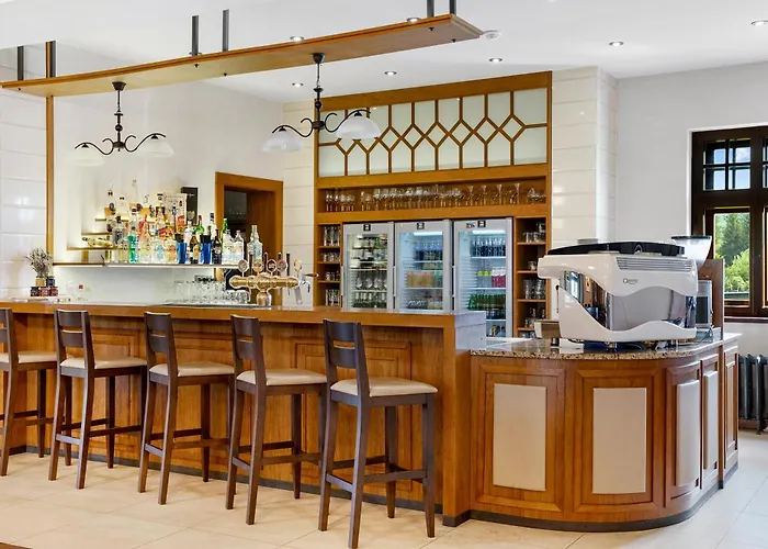 Wellness Hotel Franz - Rejviz