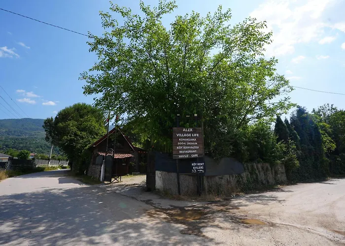 Alex Village Life