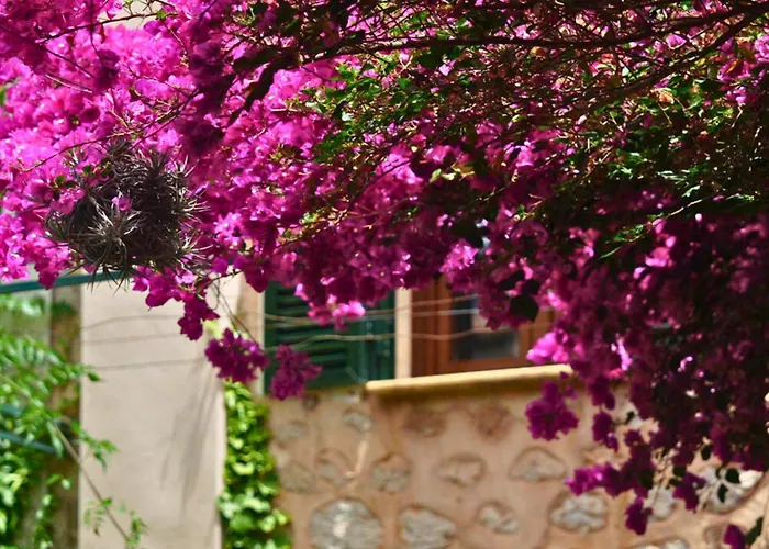 Hotel Casa Bougainvillea