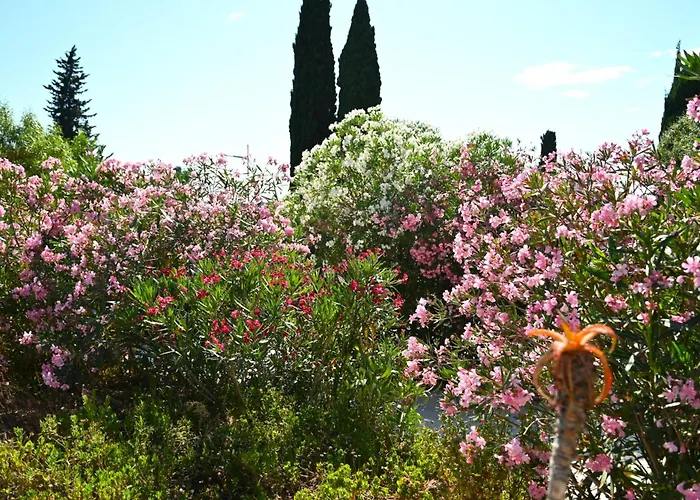 Les Jardins De Bormes, Hotel Adult Only Avec Piscine Chauffee, Jacuzzi Et Sauna