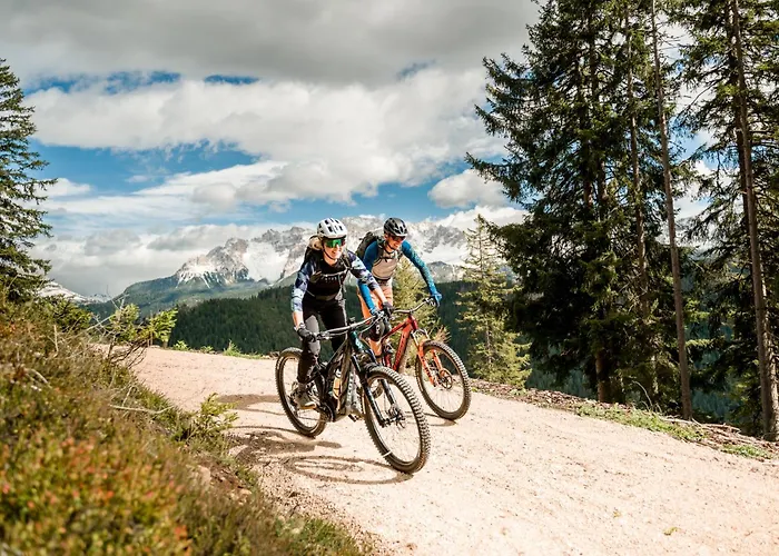 Bio&BikeHotel Steineggerhof
