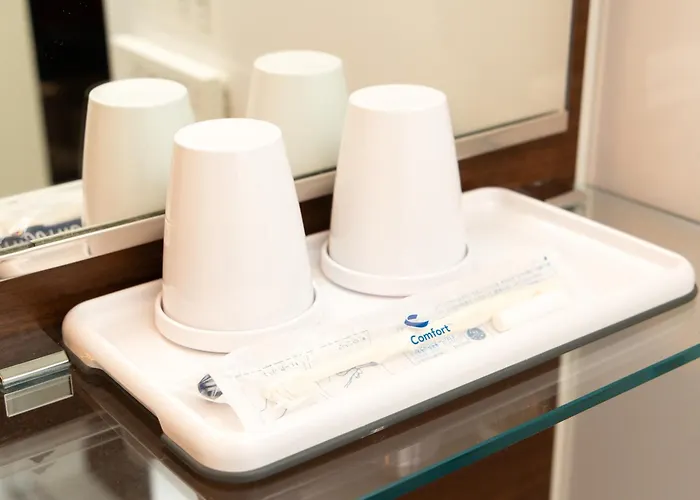 Comfort Hotel Saga