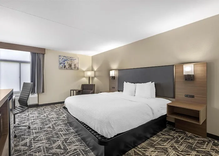 Best Western Plus York Hotel And Conference Center
