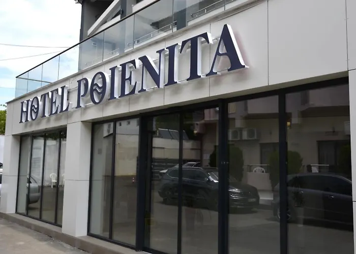 Hotel Poienita