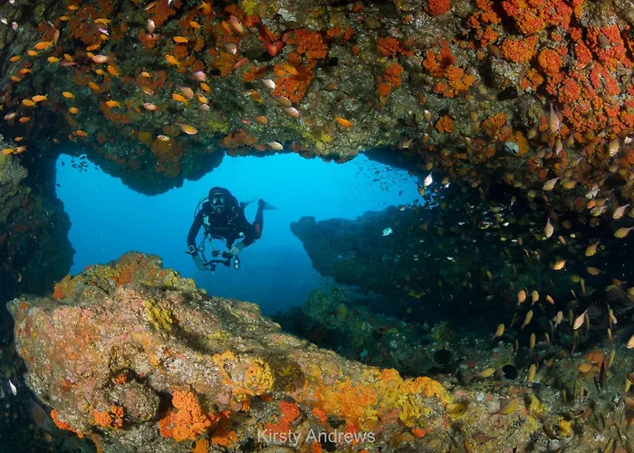 Agulhas House & Diving
