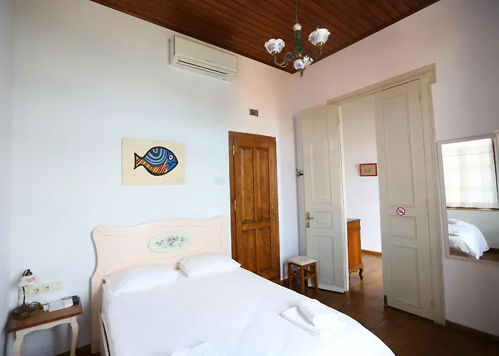 Kidalyo Hotel - Special Category