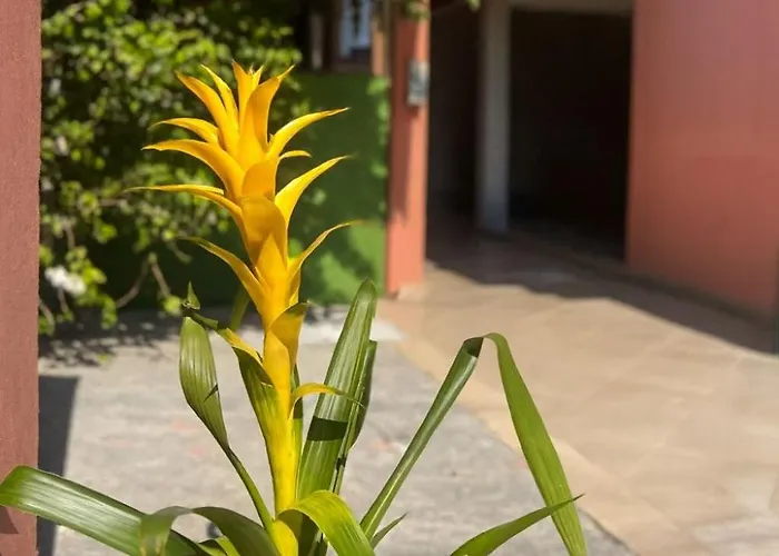 Pousada Casa Rosada Ilhabela