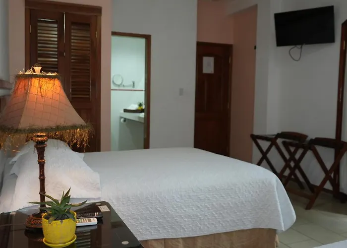 Hotel Casa Del Arbol