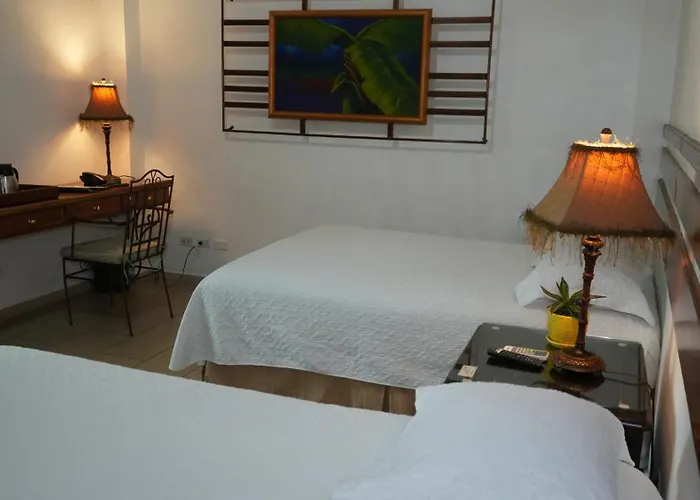 Hotel Casa Del Arbol