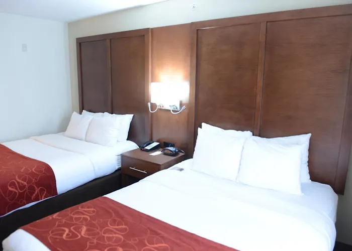 Comfort Suites Urbana Champaign, University Area