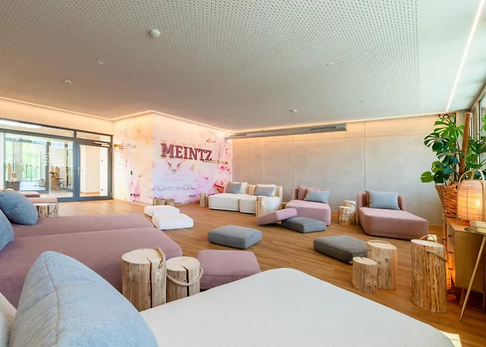 Hotel MEINTZ