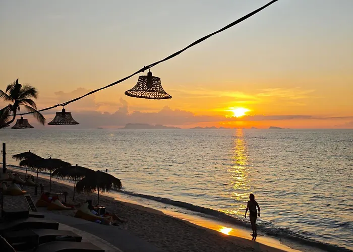 Mimosa Resort&Spa