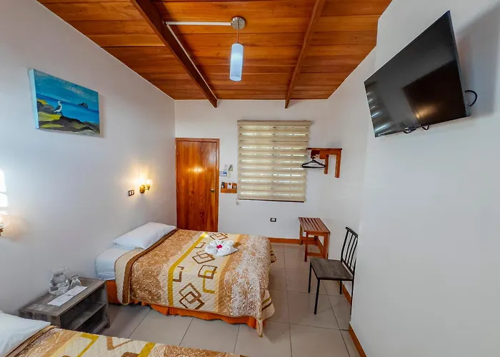 Galapagos Dreams