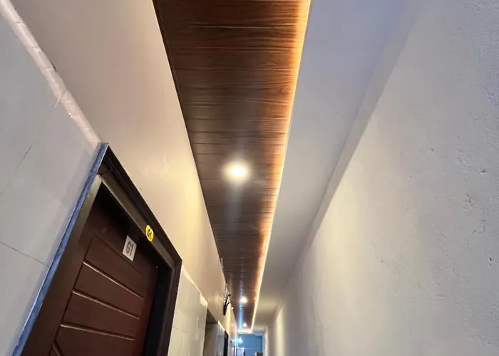 Annai Viola Residency