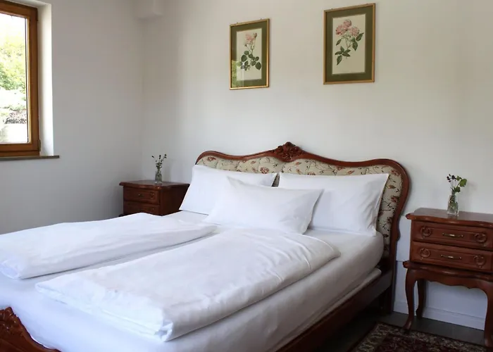 Hotel Viktoria