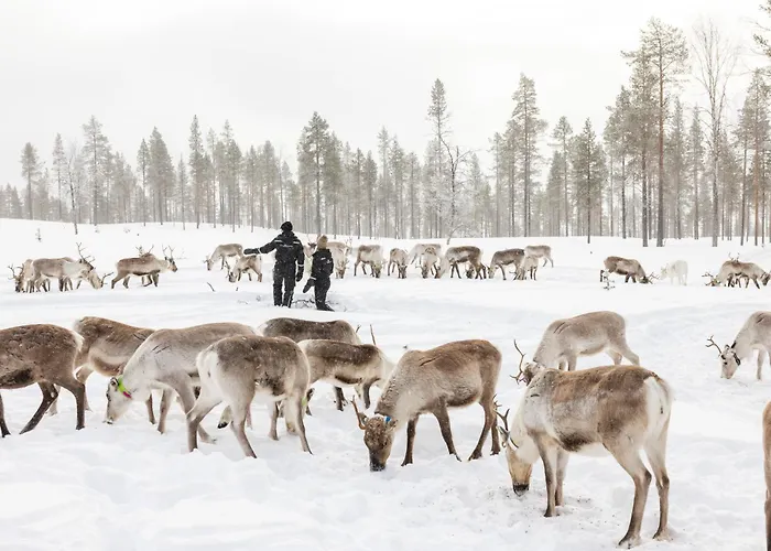 Star Arctic Hotel & Activities