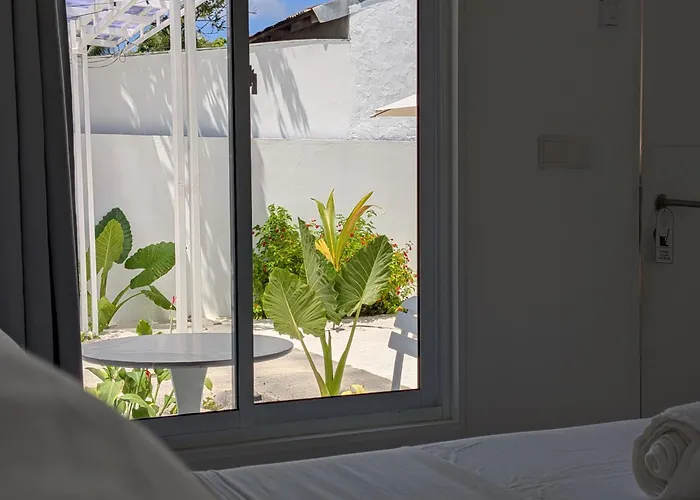 Avi Guesthouse
