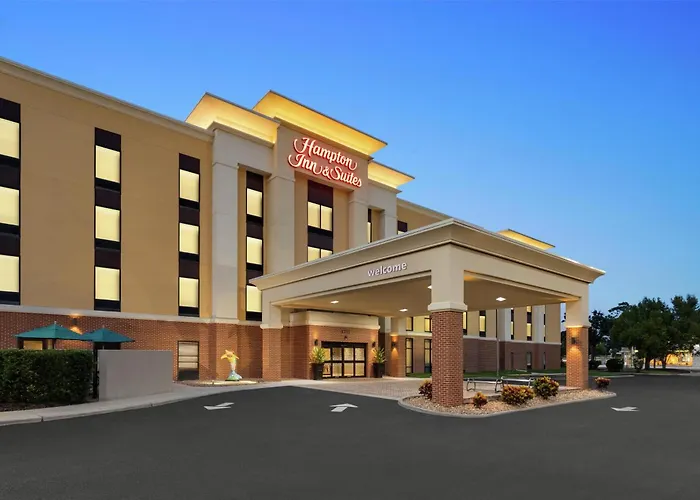Hampton Inn&Suites by Hilton Tampa Busch Gardens Area