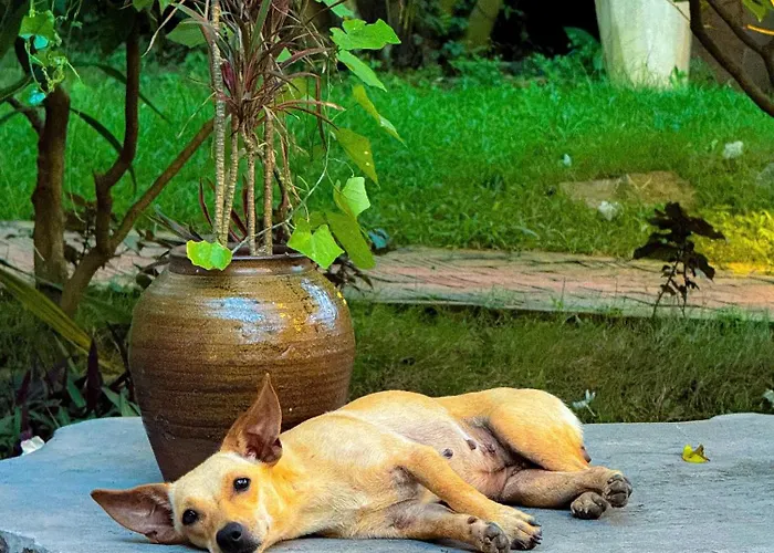 Trang An Lamia Bungalow