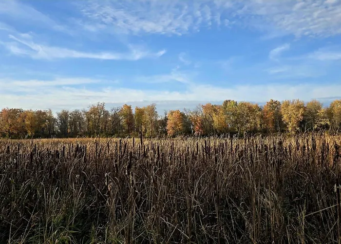 Lakefront House 25 Minutes From Downtown Ottawa-Gatineau