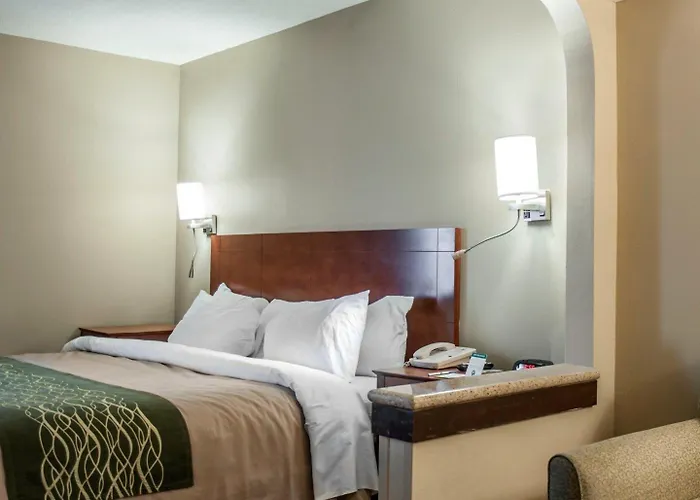 Quality Inn & Suites Near St Louis And I-255