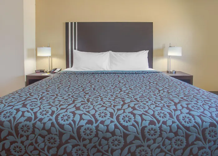 Days Inn By Wyndham Le Roy/Bloomington Southeast