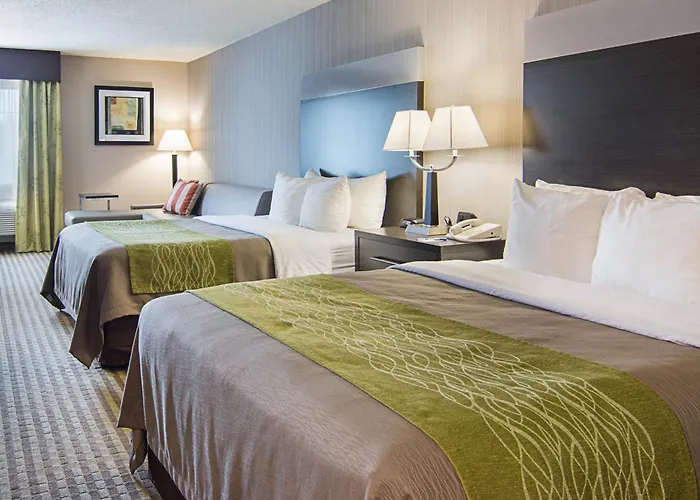 Comfort Inn Camden