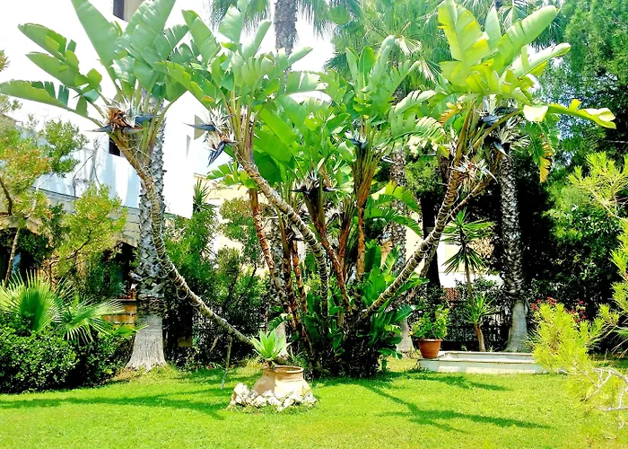 Hotel Akrabello
