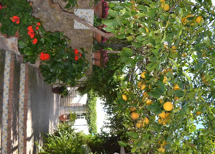 Piccolo Tirreno Hotel Residence