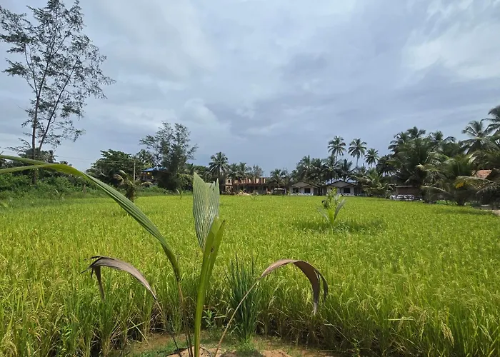 Omisha Beach Stay - Just A 2 Minute Walk To The Beach