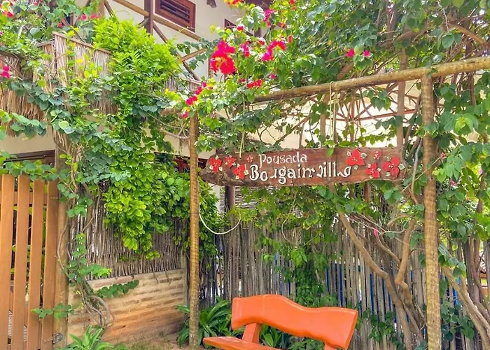 Bougainville Icaraí de Amontada