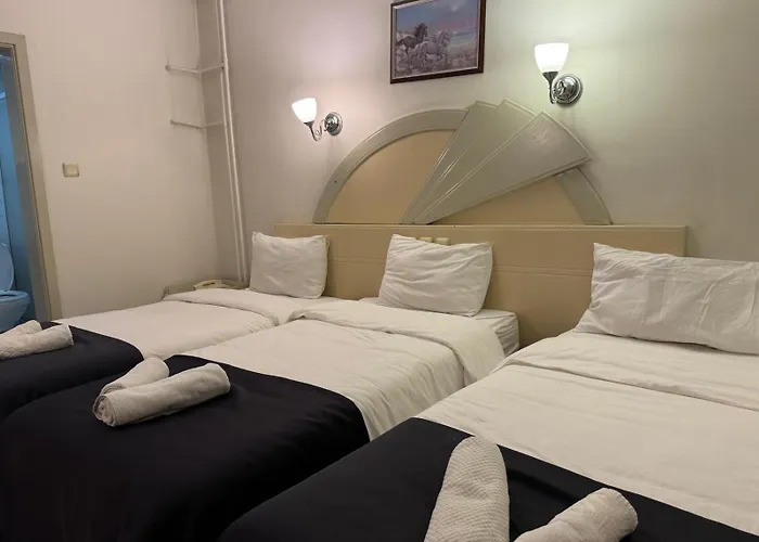 S Celik Royal Otel