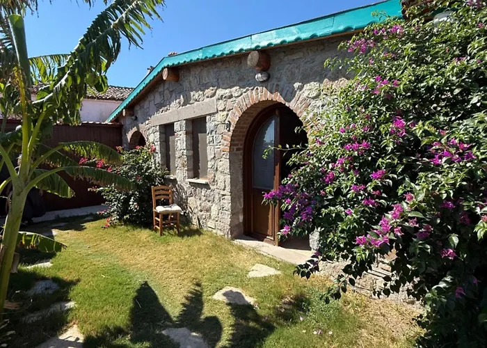 Pet Friendly Pool Suites