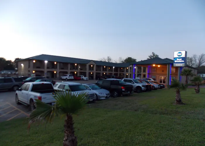 Best Western Executive Inn