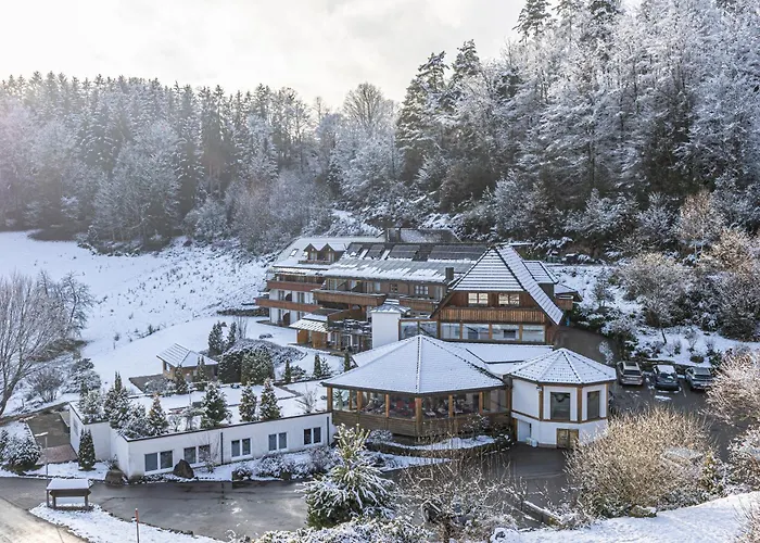 Hotel Kaeppelehof