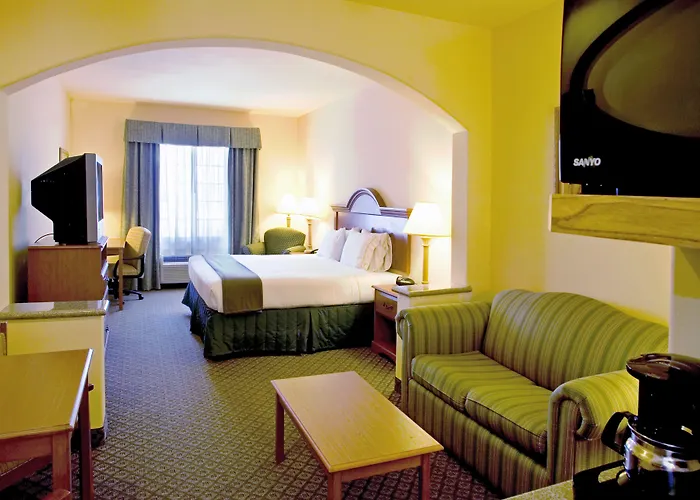 Holiday Inn Express Hotel & Suites Rio Grande City, An Ihg Hotel