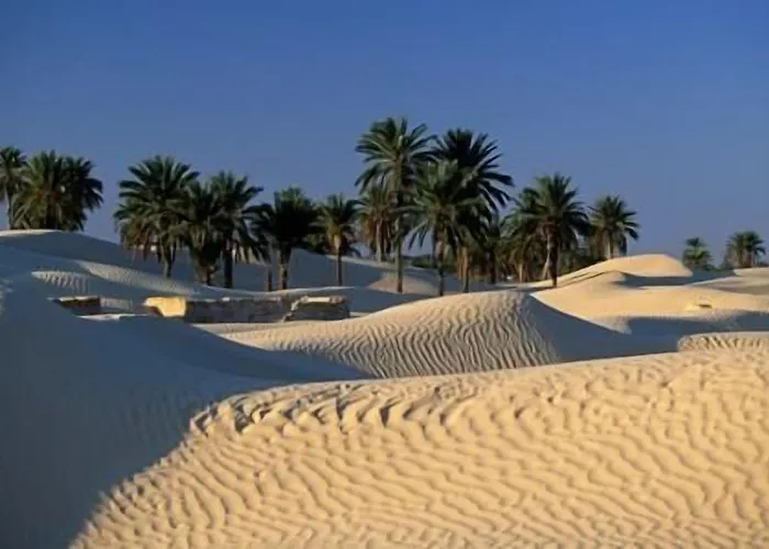 Yadis Oasis Kebili