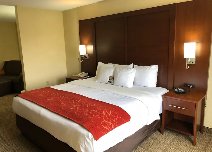 Comfort Suites Elkhart South