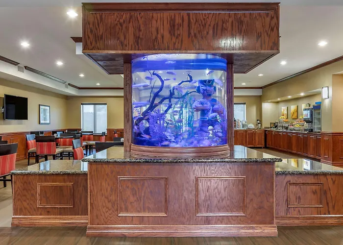Comfort Suites Near Texas A&M - Corpus Christi