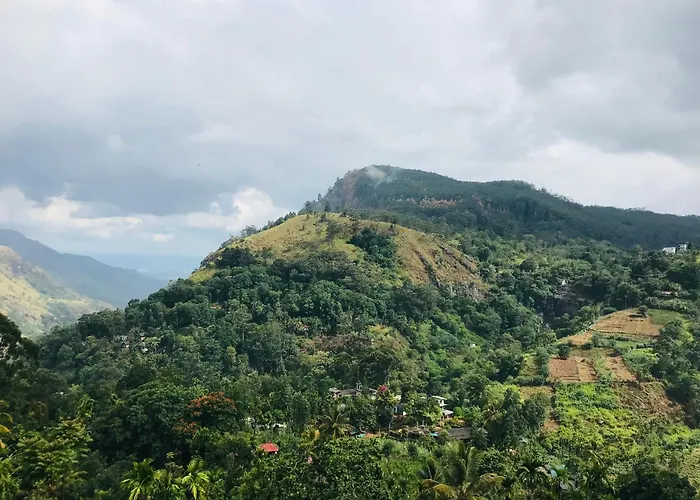 Ella Hide View