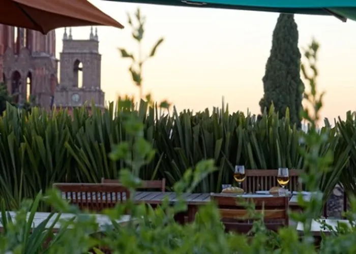 Casa De Los Olivos