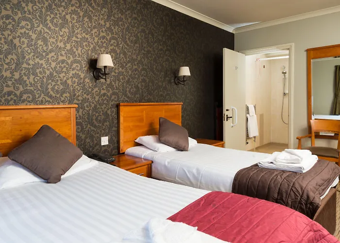 The Dog & Bear Hotel