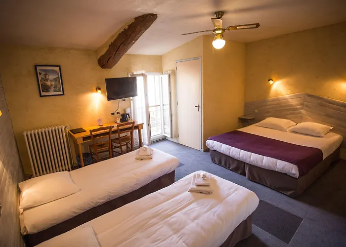 Logis Hotel Du Terreau