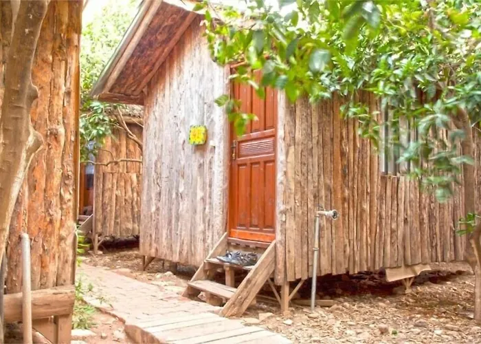 Bayrams Tree Houses