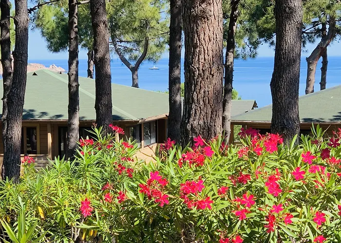 Residence Les Pins