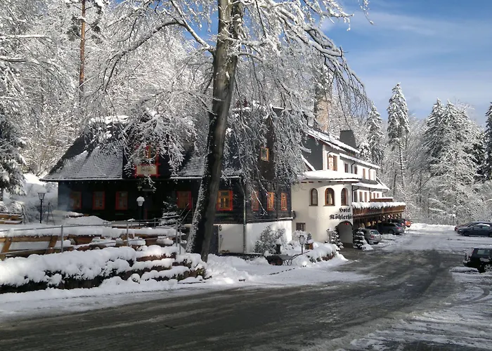 Hotel und Restaurant Köhlerhütte - Fürstenbrunn