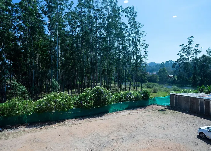 Hillview Munnar