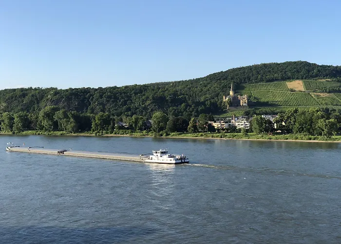 Rheinhotel Vier Jahreszeiten