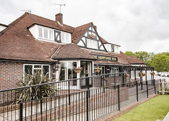 The Hampshire Hog
